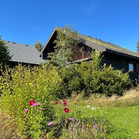 Holiday Home Rechbergblick - Beu302 By Interhome Bernau im Schwarzwald Buitenkant foto