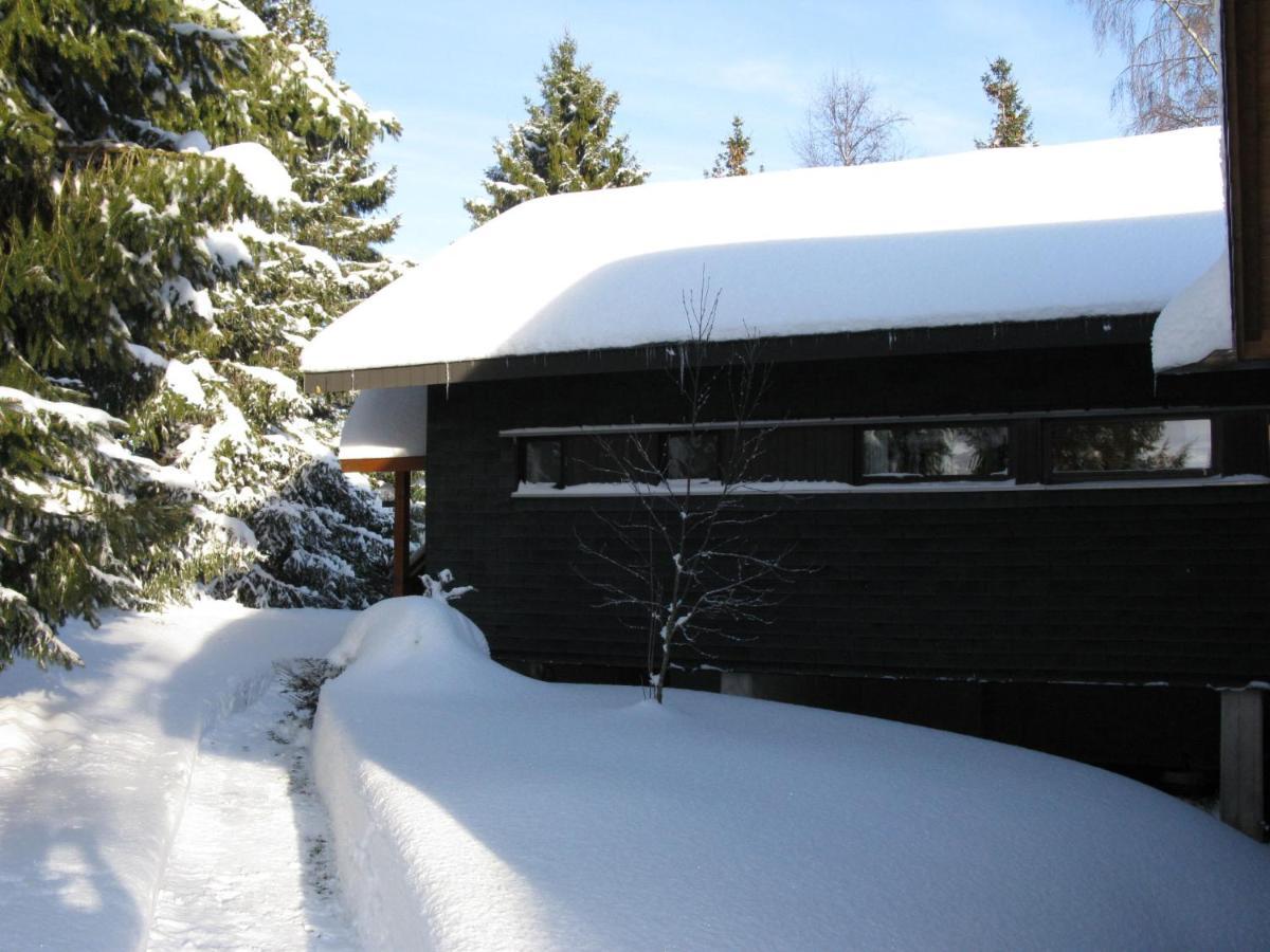 Holiday Home Rechbergblick - Beu302 By Interhome Bernau im Schwarzwald Buitenkant foto