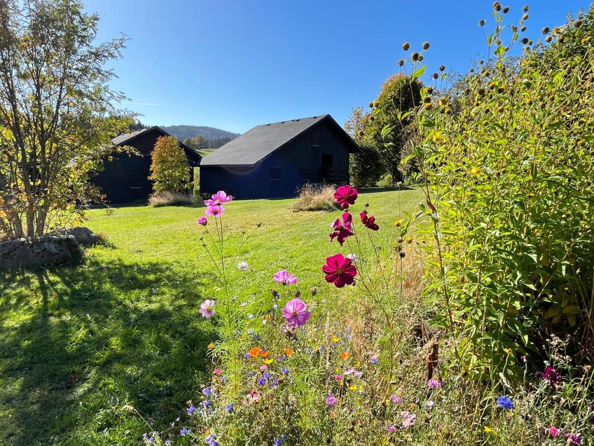 Holiday Home Rechbergblick - Beu302 By Interhome Bernau im Schwarzwald Buitenkant foto